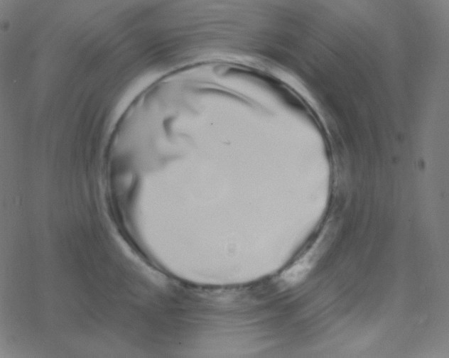 X0000077371048200611101659