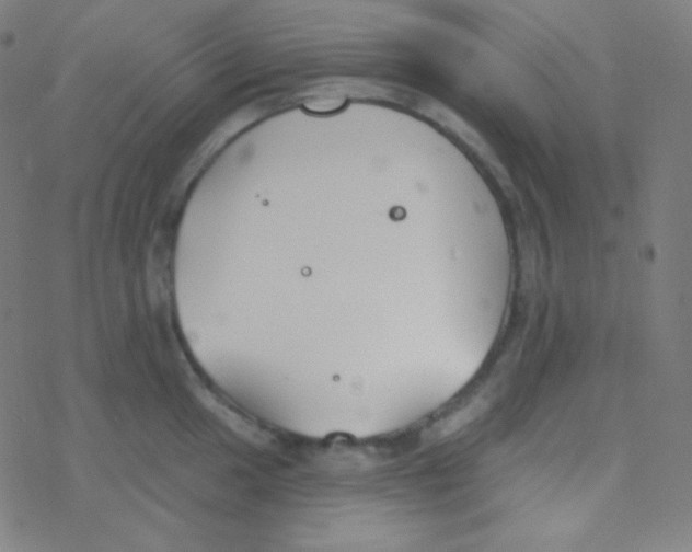 X0000077371049200611101659