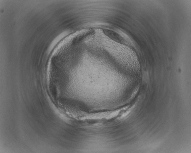 X0000077371050200611101659