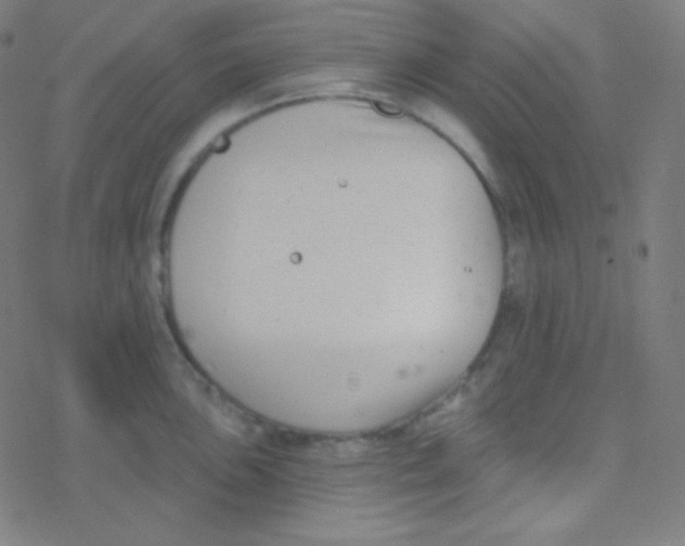 X0000077371051200611101659