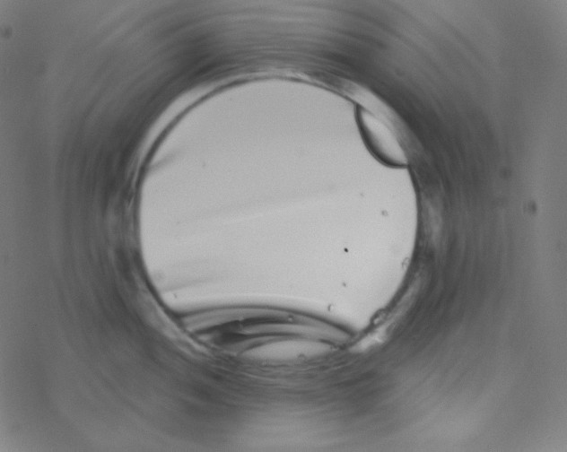 X0000077371052200611101659