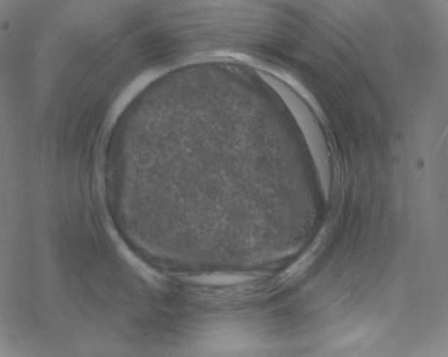 X0000077371054200611101659