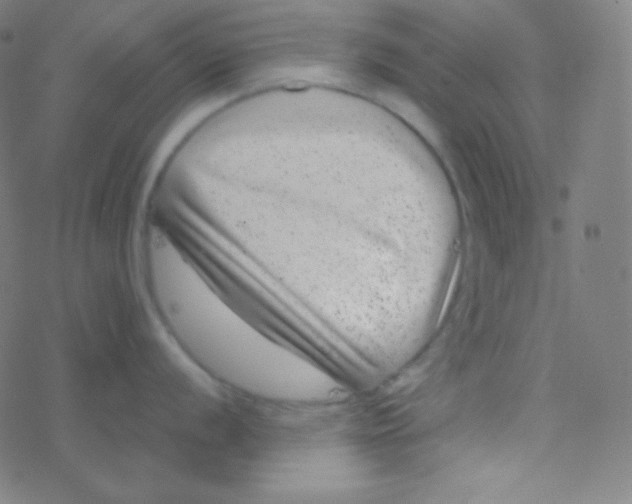 X0000077371056200611101659