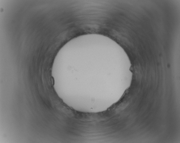 X0000077371057200611101658