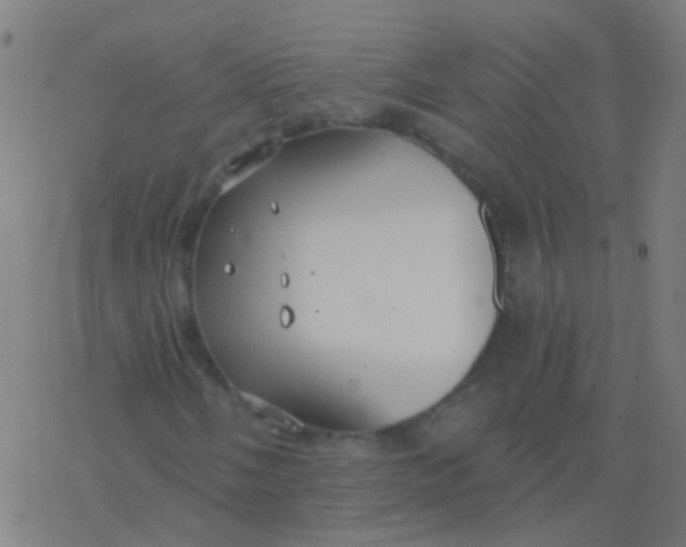 X0000077371058200611101658