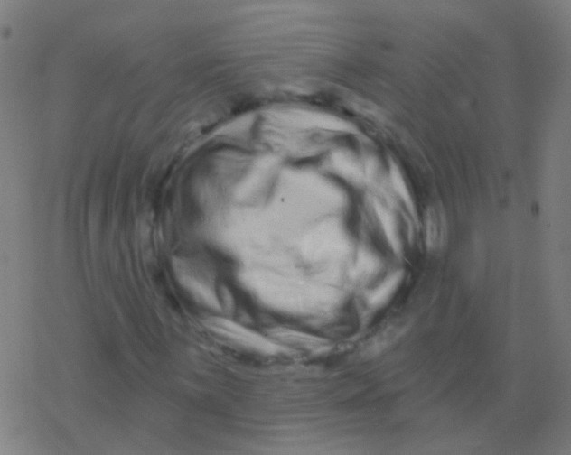 X0000077371059200611101658