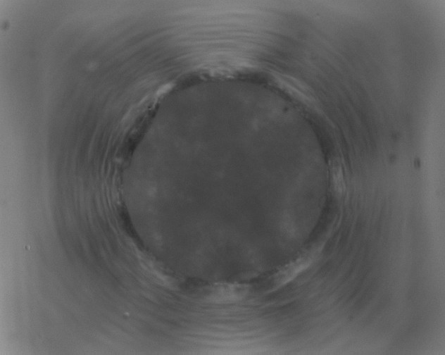 X0000077371060200611101658