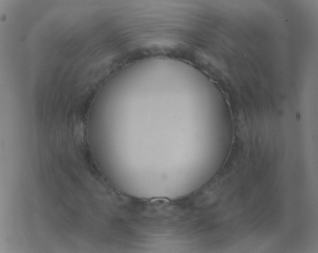 X0000077371061200611101658