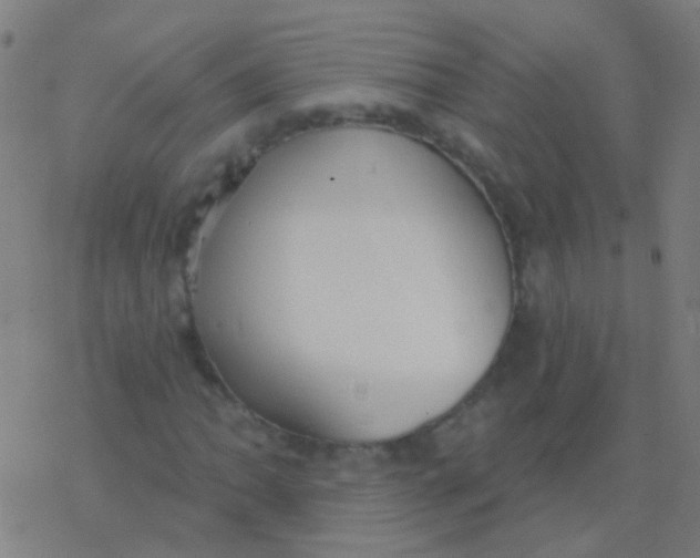 X0000077371062200611101658