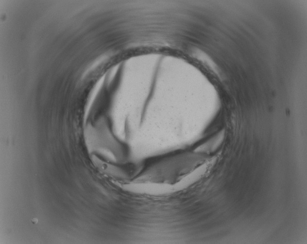 X0000077371064200611101658