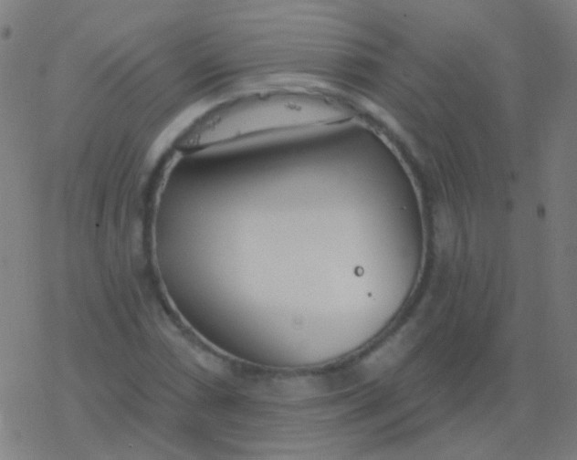 X0000077371066200611101658