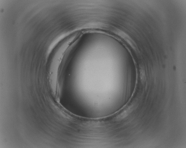 X0000077371069200611101658