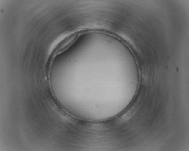 X0000077371070200611101658