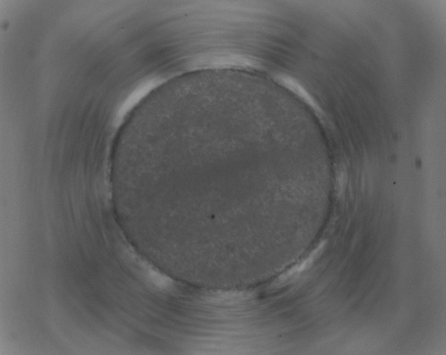 X0000077371071200611101658