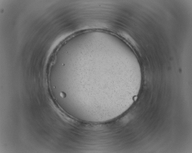 X0000077371072200611101658