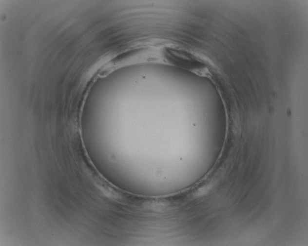 X0000077371073200611101658