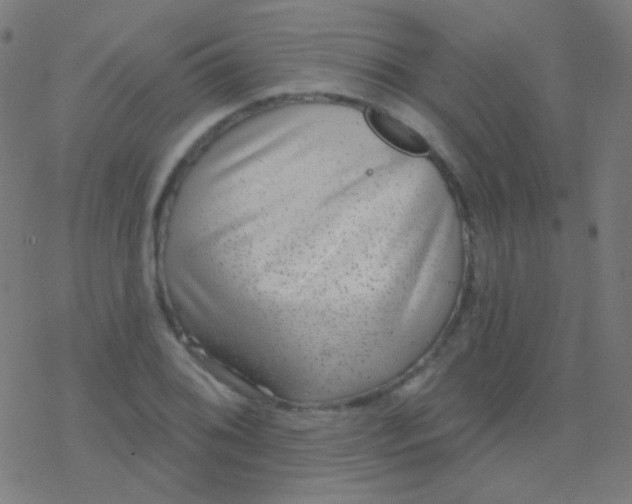 X0000077371076200611101658