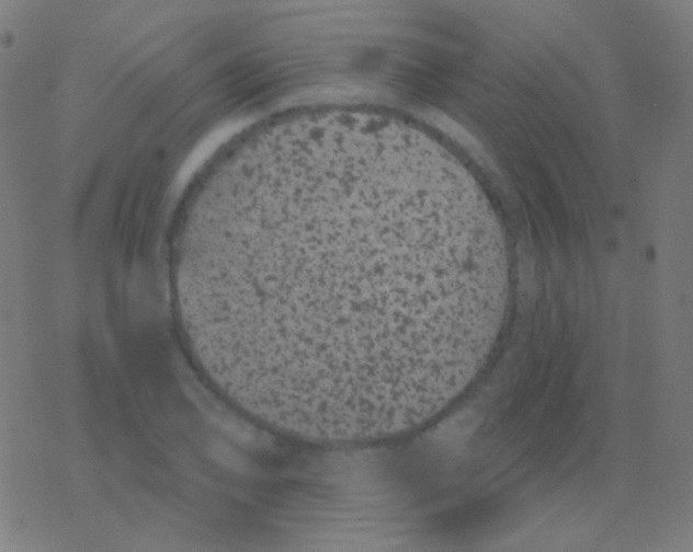 X0000077371078200611101658