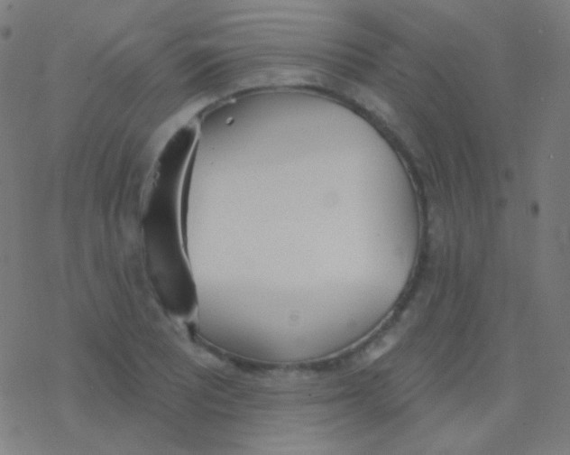 X0000077371081200611101658