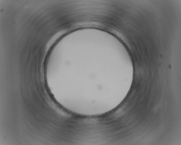 X0000077371082200611101658