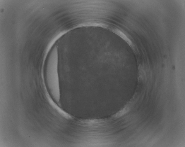 X0000077371084200611101658