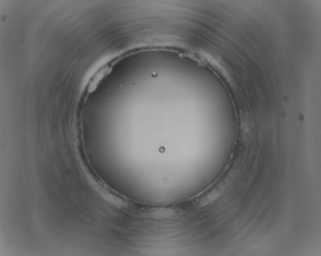 X0000077371085200611101658