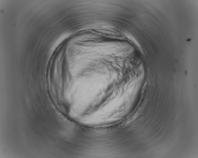 X0000077371087200611101658