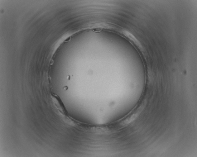 X0000077371089200611101658