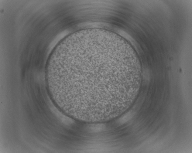 X0000077371090200611101658