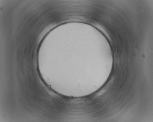 X0000077371093200611101658