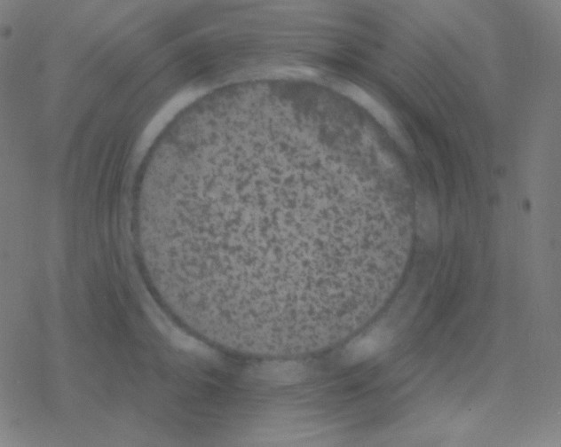 X0000077371094200611101658