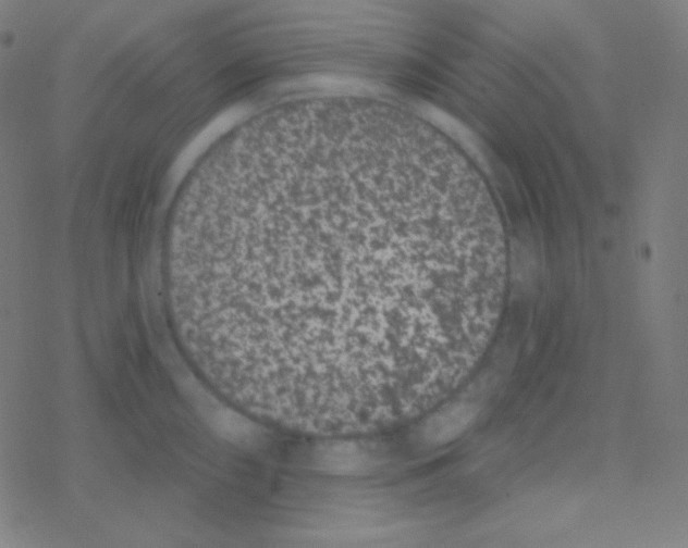 X0000077371098200611101658