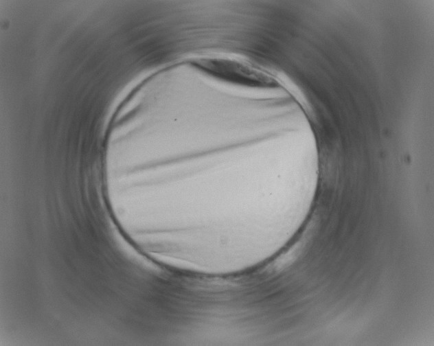 X0000077371100200611101658