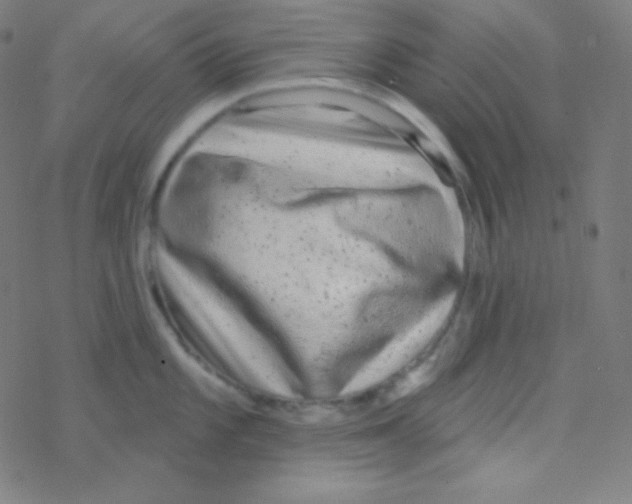 X0000077371101200611101658