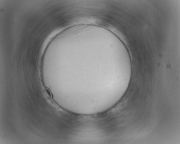 X0000077371104200611101658