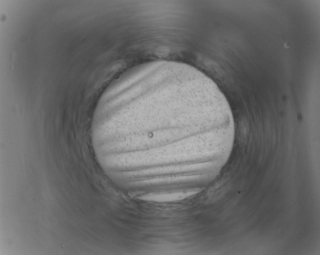 X0000077371105200611101657