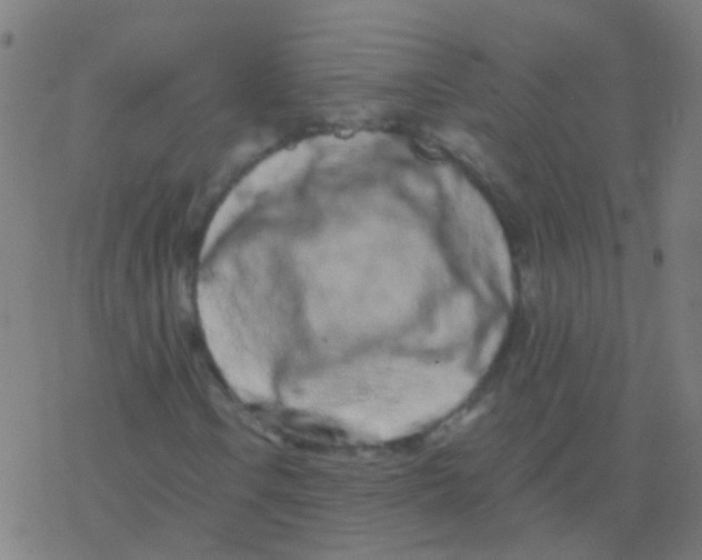 X0000077371106200611101657