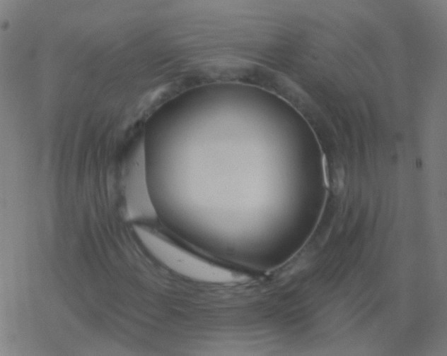 X0000077371108200611101657