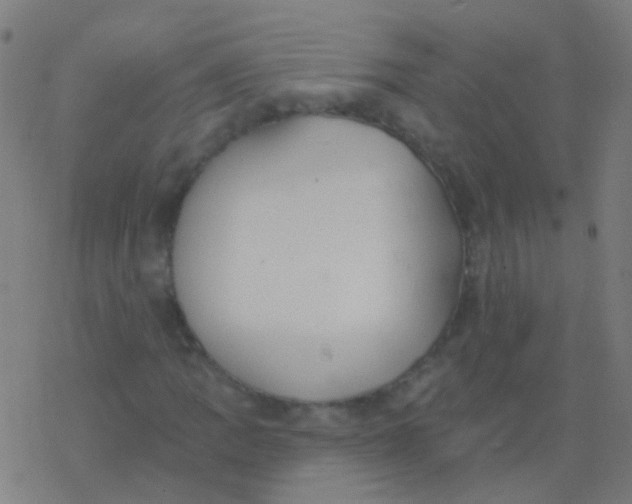 X0000077371109200611101657