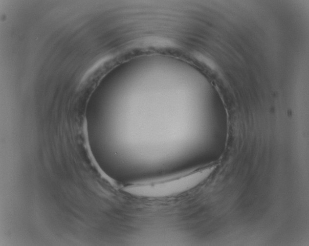 X0000077371112200611101657