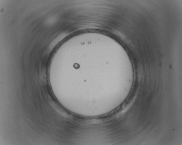 X0000077371113200611101657