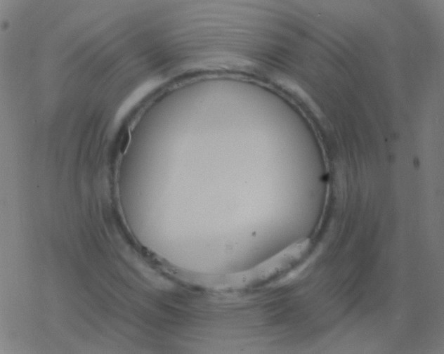 X0000077371114200611101657