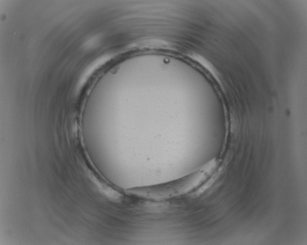 X0000077371115200611101657