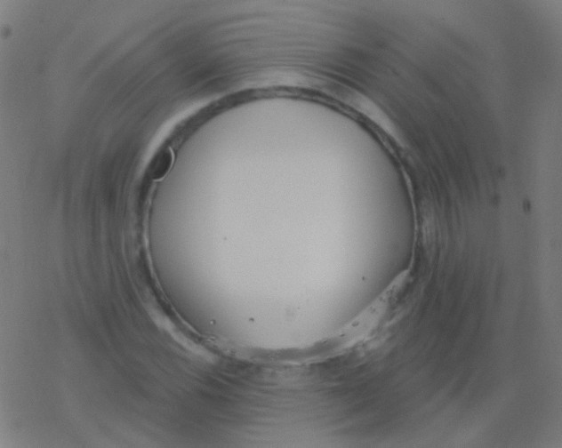 X0000077371116200611101657