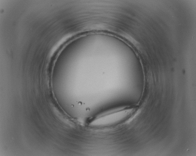 X0000077371118200611101657