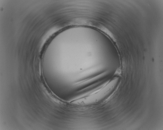 X0000077371123200611101657