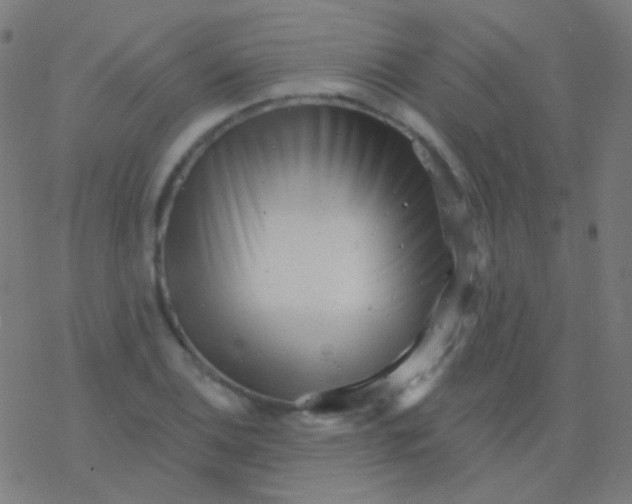 X0000077371124200611101657