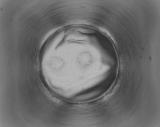 X0000077371125200611101657