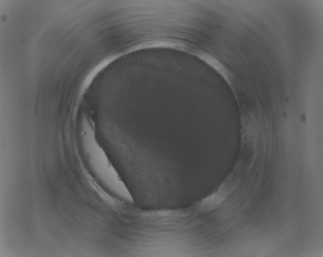 X0000077371127200611101657