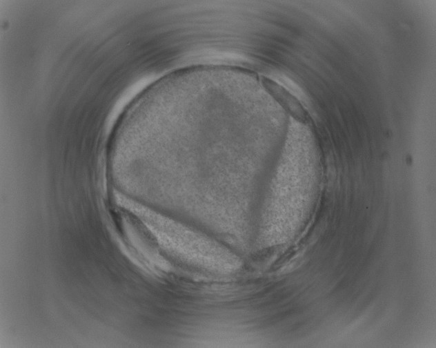 X0000077371128200611101657